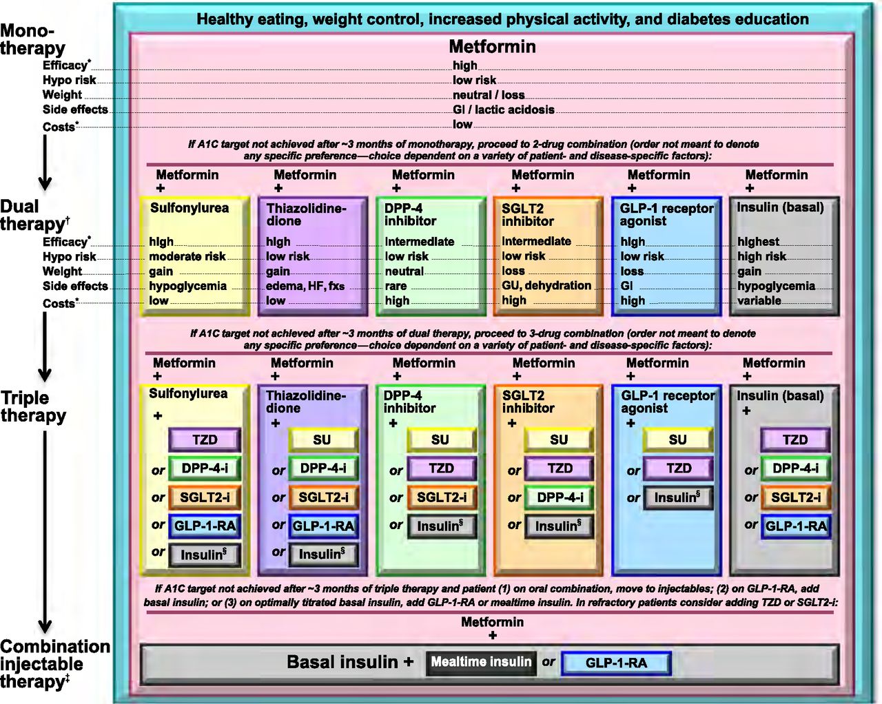 Diabetes Treatment Algorithm | Time Of Care