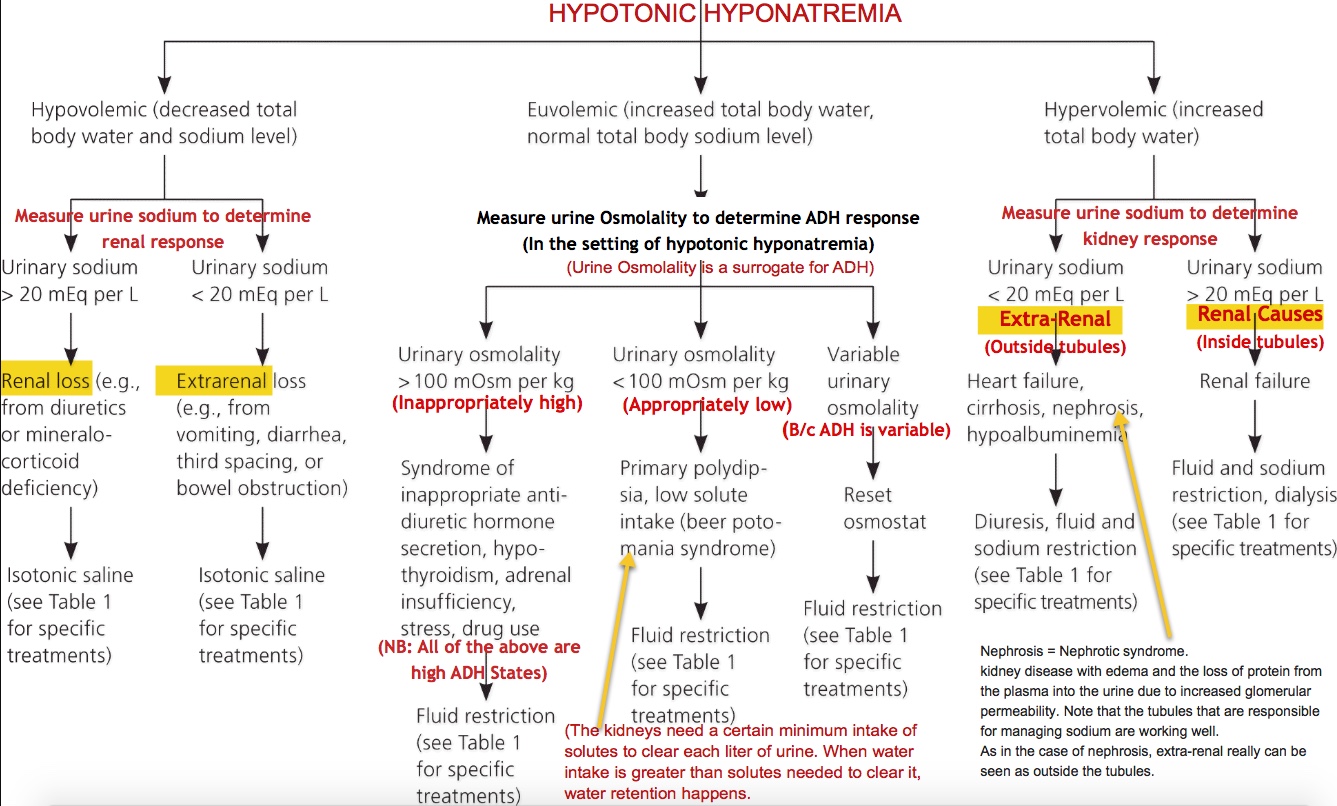 hyponatremia